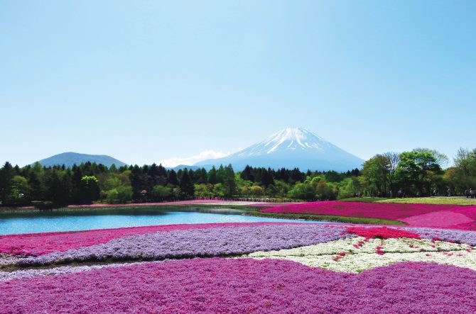 人生初の山梨でほうとうを頂いてきました！！！｜りぜし