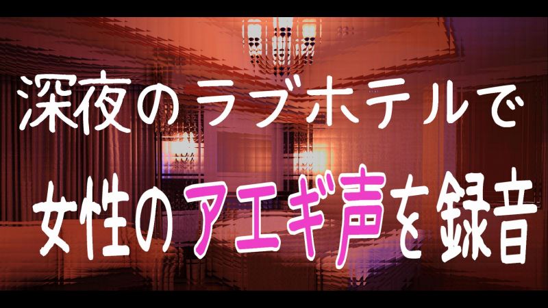 あえぎ声の教科書をつくる～エロゲ統計2022～（Allegretto syndrome）の通販・購入はメロンブックス |