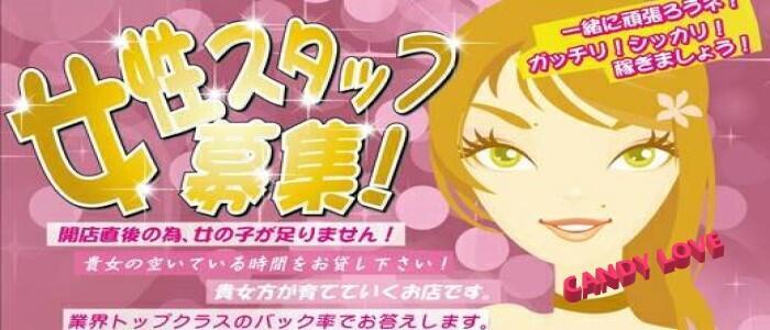 2024年最新】山形県のぽっちゃり求人【稼ごう】で高収入アルバイト