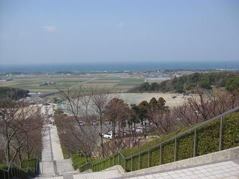 あんず祭り | イベント | 【公式】福岡県の観光/旅行情報サイト「クロスロードふくおか」