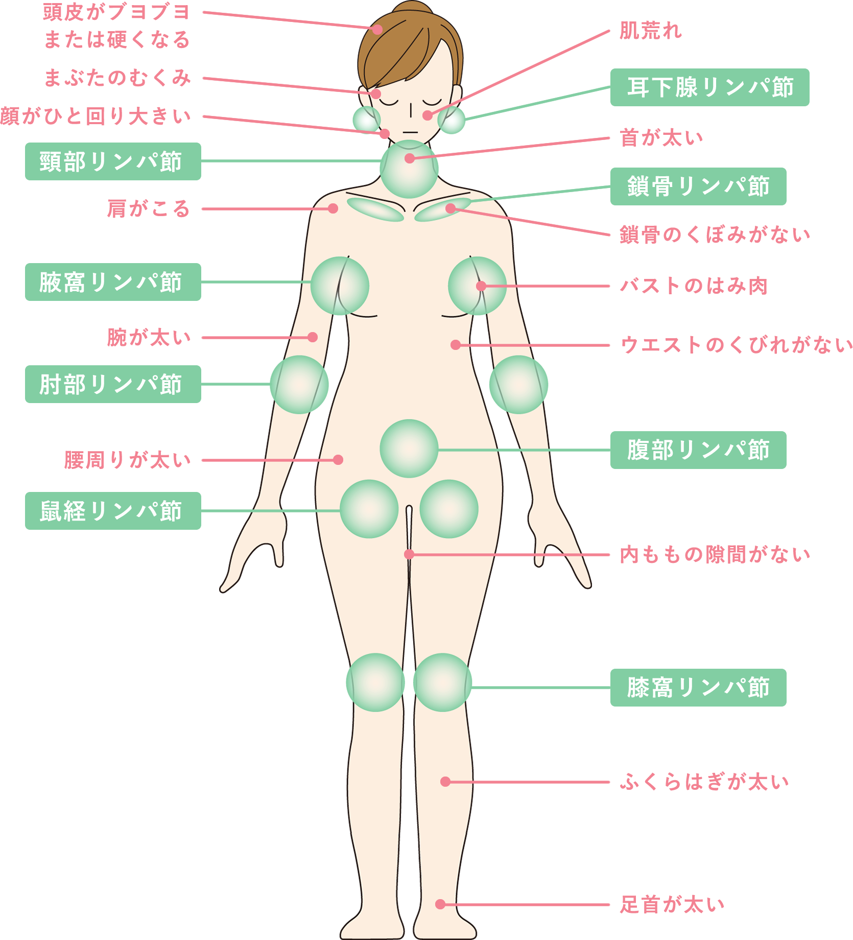 リンパ浮腫専門ケアチーム | 岡山大学病院