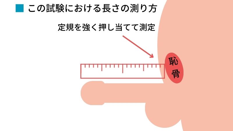 女性が思う理想のペニスサイズ – メンズ形成外科 | 青山セレス&船橋中央クリニック