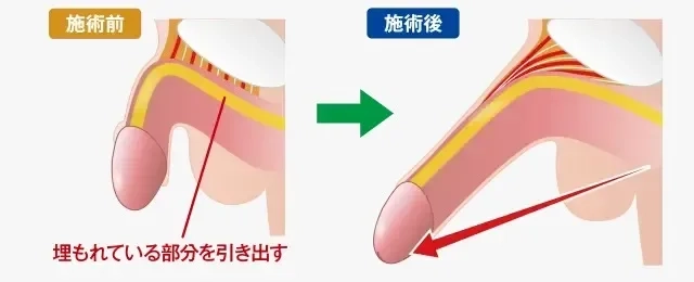 Amazon.co.jp: 面白いおもちゃ ぬいぐるみ