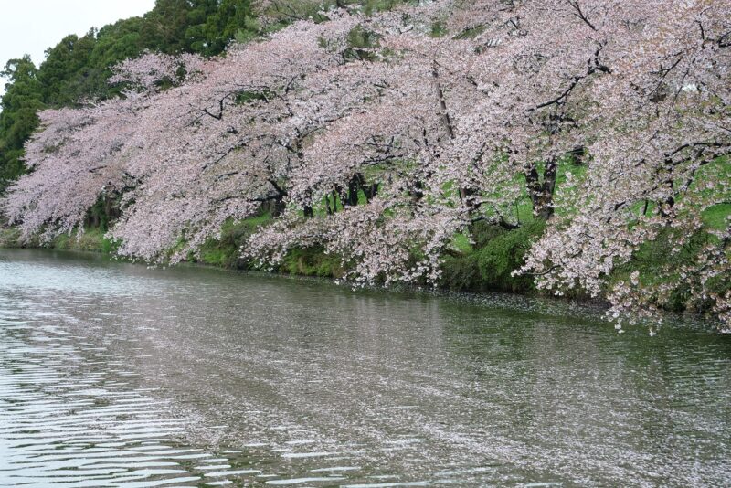 歴史的大規模土砂災害地点を歩く - いさぼうネット