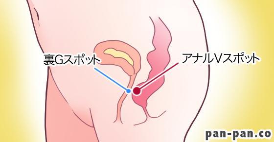 Gスポット開発とは？場所と位置の見つけ方 - 夜の保健室