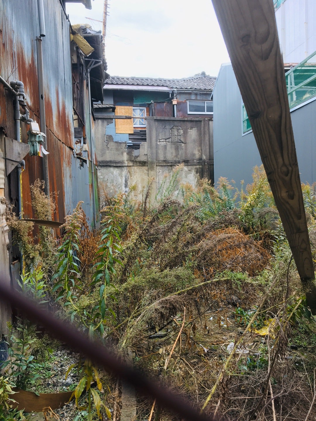 飛田新地、嘆きの壁と瓦礫の山😳不法投棄のゴミがなくなったと思ったら何これ？ #嘆きの壁 #飛田新地嘆きの壁