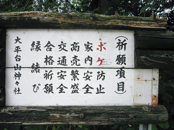 懐かしい風景を探しに。のどかな時間が流れる、山あいの小さな温泉街・大平台 - ミスモ箱根net