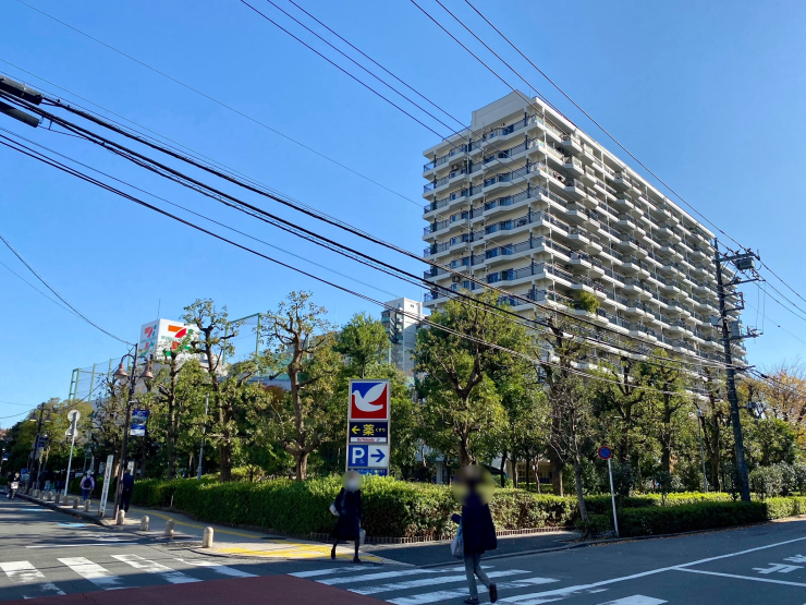 森の泉 - 川崎市高津区溝口 -