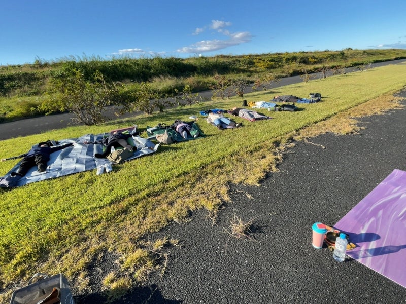 成人式の振袖に合うつまみ細工の髪飾り！花かんざし等の組み合わせも ｜ふりそでもりの成人式振袖コラム