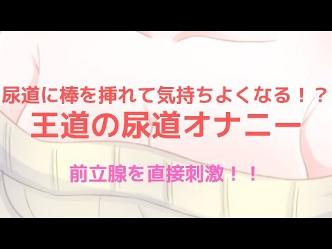 前立腺の役割と病気─前立腺肥大症・前立腺がん・前立腺炎の違い | 大阪梅田紳士クリニック