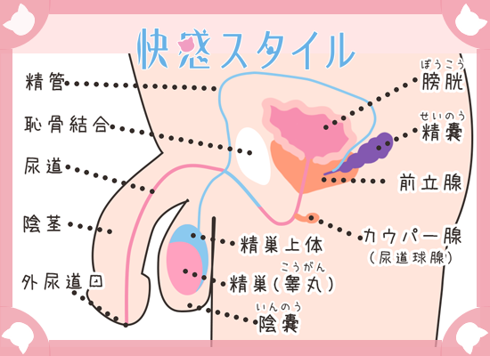 前立腺マッサージとはどんなプレイ？ 風俗エステ嬢がやり方を詳細解説 | シンデレラグループ公式サイト