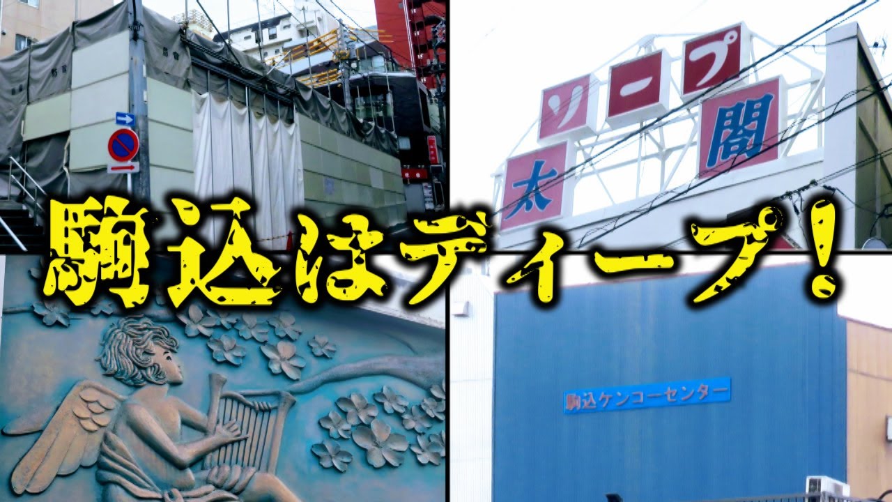 駒込から田端にかけての高台にある、昭和の匂いがする公園です。線路脇には、老舗ソープランド「太閤」もあります。 | TikTok