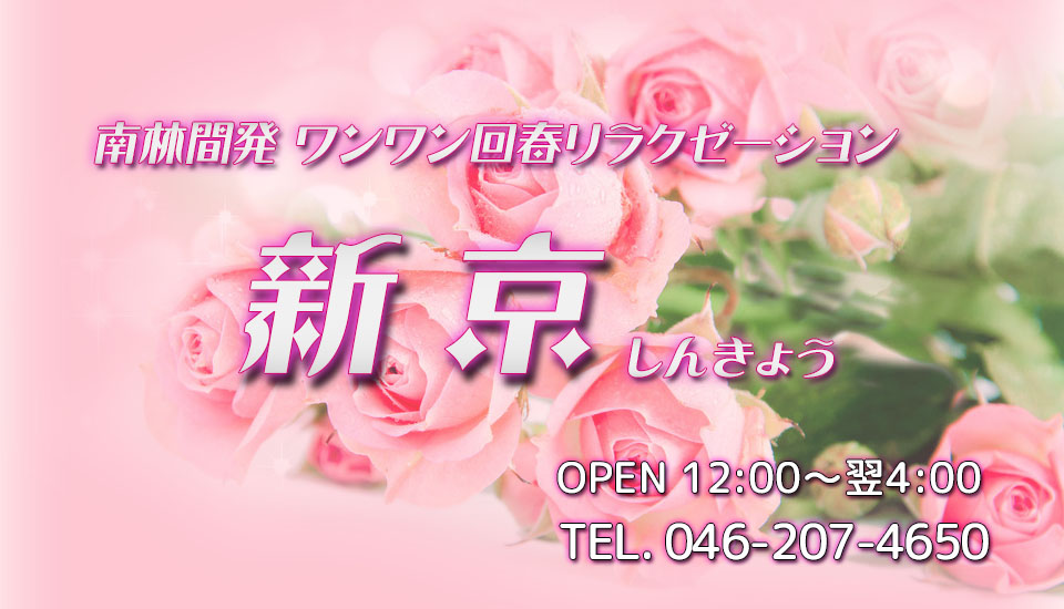 そらすの喰歴２ａ: 島小@南林間 「ソーメンちゃんぷる」「三枚肉そば」「ゴーヤカレー」