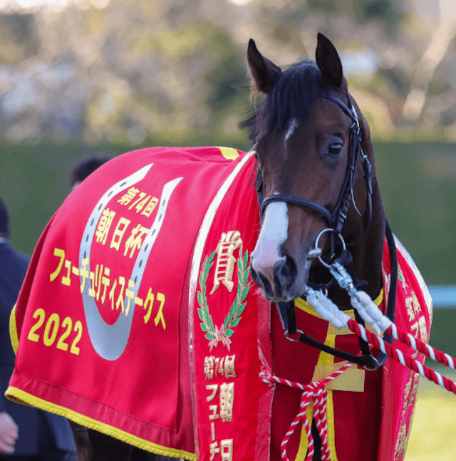 ドルチェモアの次走は？乗り替わりの理由なども徹底紹介！ | 競馬口コミダービー