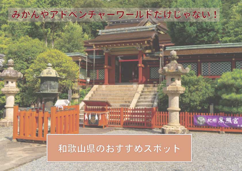 「首絞めて…」瀬戸さおりの濃厚なラブシーン！『愛の病』予告編