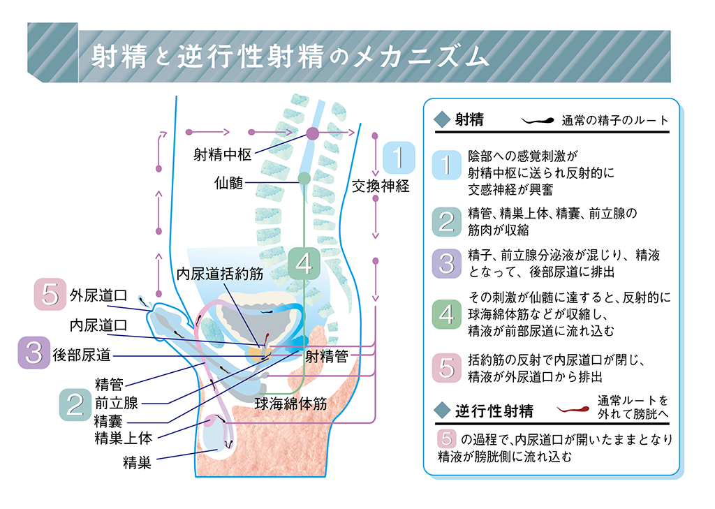 オナニーをもっと気持ちよくするための３つの方法と注意点| PHC Ladies - 性病科・性感染症内科専門クリニック