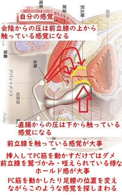 錦糸町快楽M性感倶楽部～前立腺マッサージ専門～／錦糸町発 派遣型M性感｜手コキ風俗マニアックス