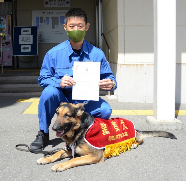 猫殺処分ゼロへ和歌山が本腰 人口10万人あたりワースト２位 | 犬・猫との幸せな暮らしのためのペット情報サイト「sippo」