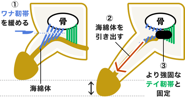 ちんこが小さいほど稼ぎが多いことが英調査で判明 ！ 8センチと20センチで収入格差は400万円以 | 男性の味方、徳井