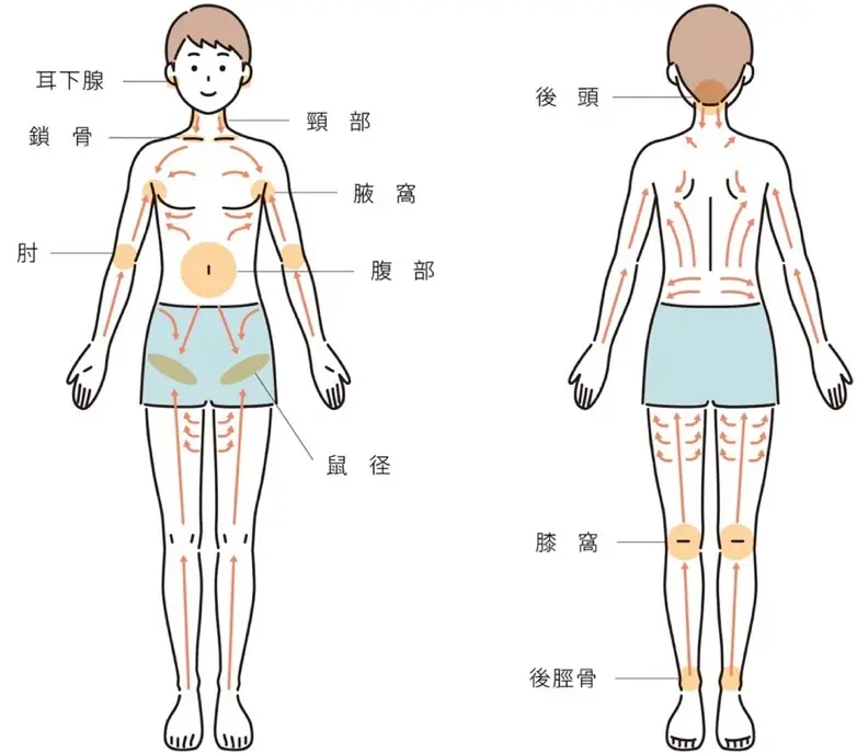 リンパマッサージに期待できる「４つの効果」と「部位別のやり方」 | Precious.jp（プレシャス）