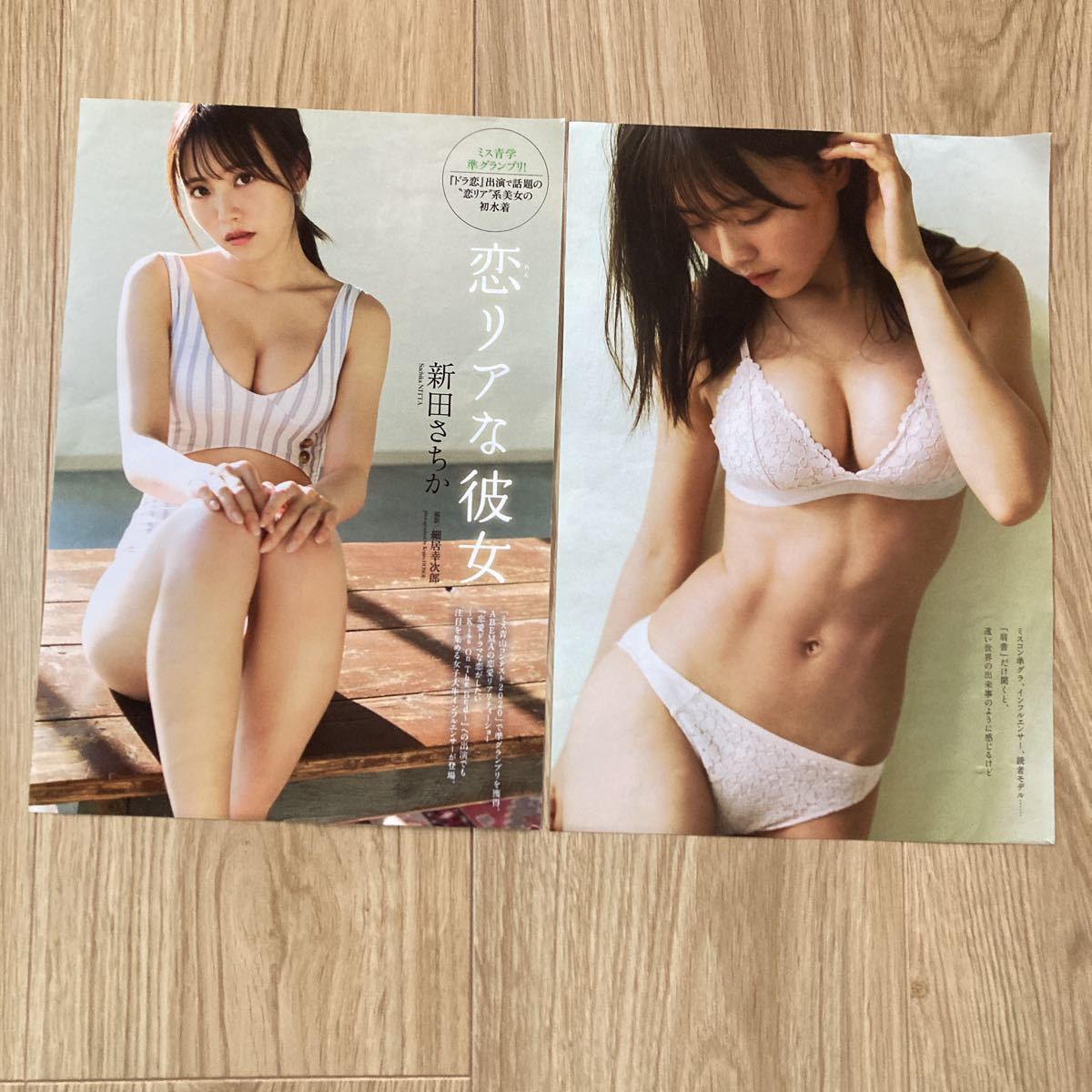 Amazon.co.jp: 新田さちか水着 下着 巨乳ポスター