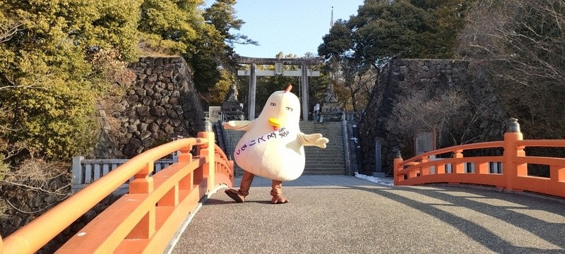 山梨県 笛吹市産 朝獲り