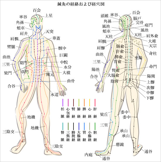 リンパマッサージ 全身のイラスト素材 - PIXTA