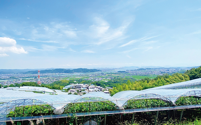 Eden Park医大南｜岡山県岡山市北区｜学生マンション賃貸のユニライフ