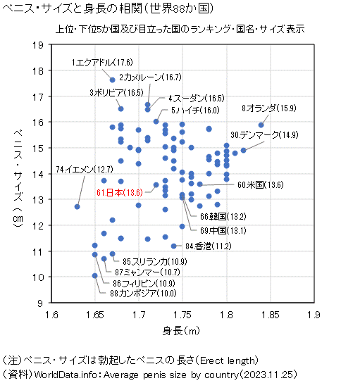 巨根サイズはどこから？】15cm以上、500円玉より太ければデカチンと言える｜あんしん通販コラム