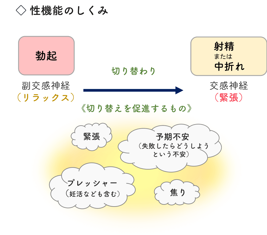 セックスで射精ができない膣内射精障害とは？射精の瞬間やイク感覚を解説 | Ray(レイ)