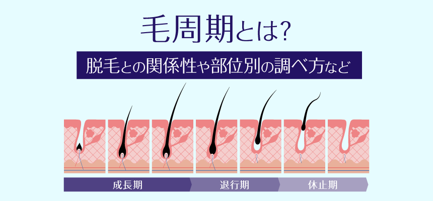 ◇ムダ毛について専門医が徹底解説《世間のウワサ》vs《医師のホンネ》〜夏直前！今知っておきたい！〜 | 医療法人社団風林会  リゼクリニックのプレスリリース